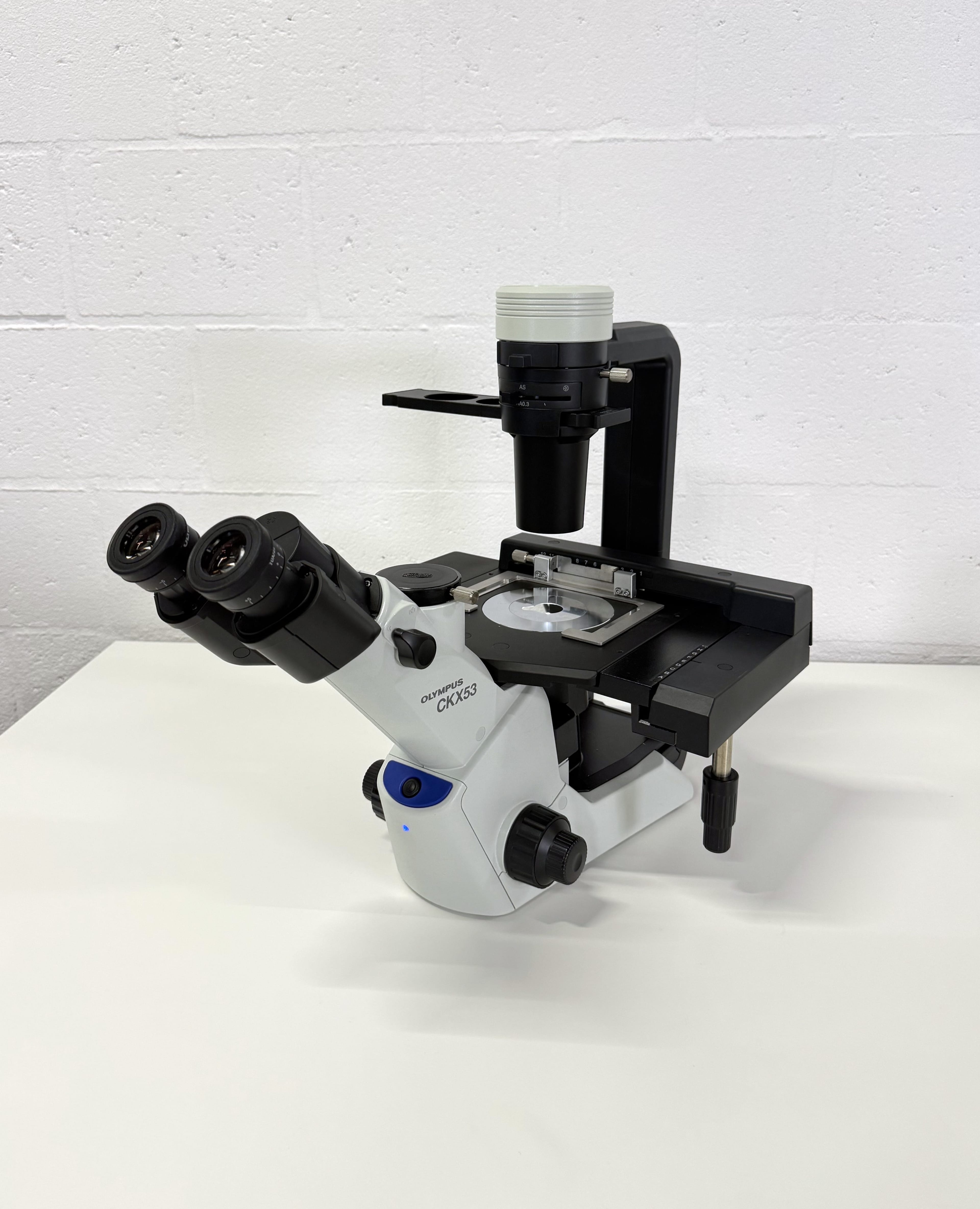 Olympus CKX53SF Inverted Microscope Phase contrast image 1